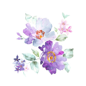 水彩花卉