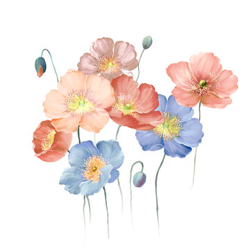 花卉