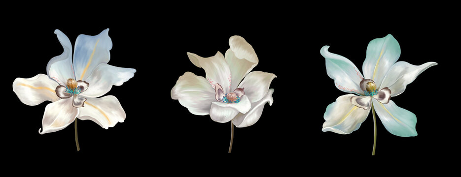 花卉