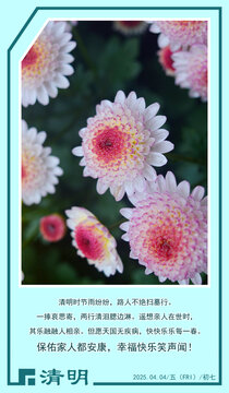 清明節(jié)手機壁紙