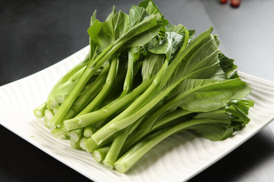 廣東菜心