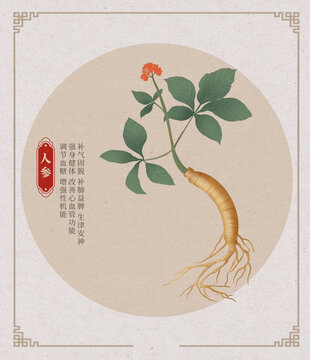 人參中式國(guó)潮水彩插畫