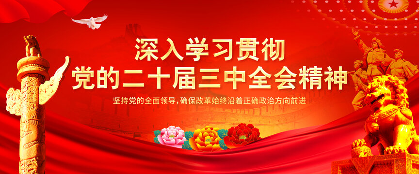 學習貫徹黨的二十屆三中全會精神