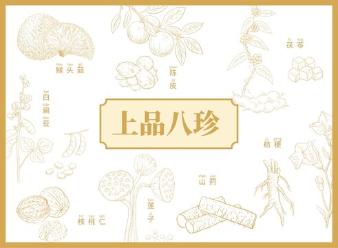 八珍元素