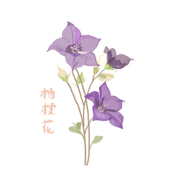 桔?；? loading=