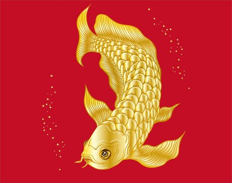 金龍魚
