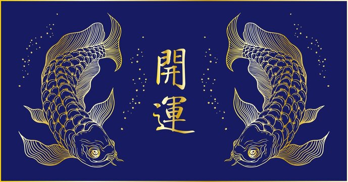 金龍魚插畫