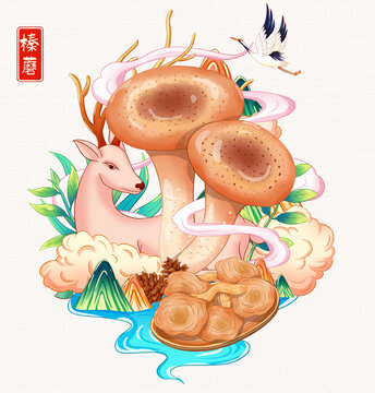 榛蘑插畫手繪