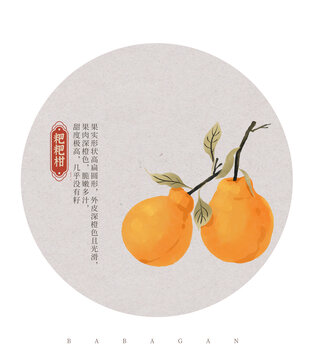 秋天橘子節(jié)氣霜降秋分水彩插畫