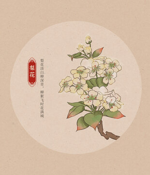 梨花國潮國風水彩插畫