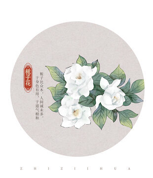 梔子花國潮國風水彩插畫