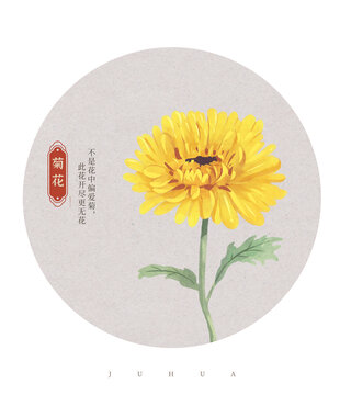 菊花國潮國風(fēng)水彩插畫
