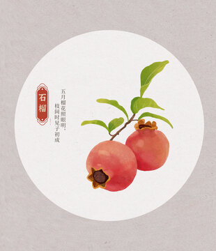 石榴國潮國風(fēng)水彩插畫