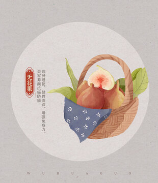 無花果水彩插畫