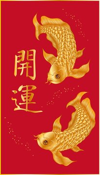 開運(yùn)金龍魚
