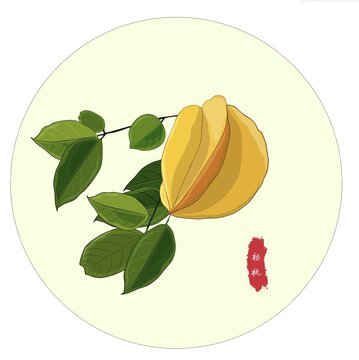 楊桃