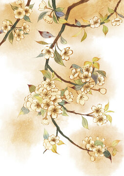 梨花