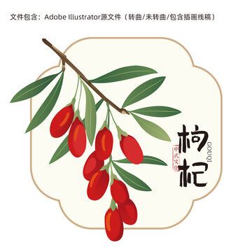 枸杞設計元素插畫