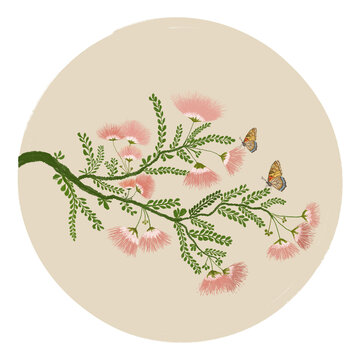 合歡