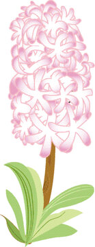 一顆信風(fēng)子