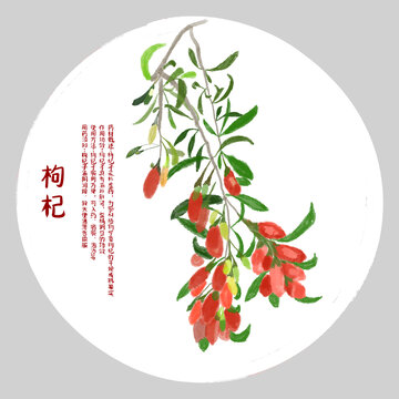 枸杞