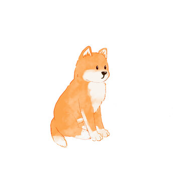 大黃狗中華田園犬免扣素材水彩手繪插畫