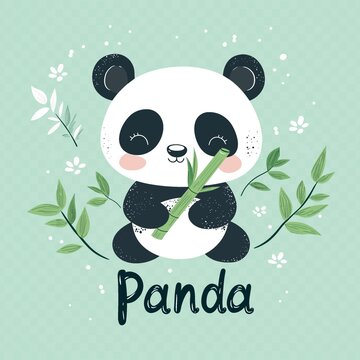 國(guó)寶熊貓扁平風(fēng)插畫