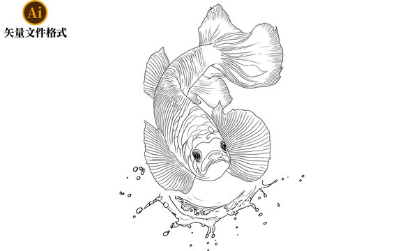 漂亮魚矢量包裝插畫
