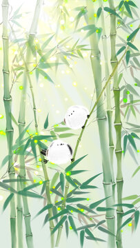 綠竹小肥啾