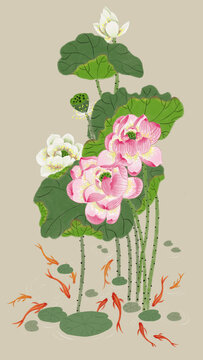 荷花