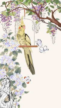 玄風(fēng)鸚鵡