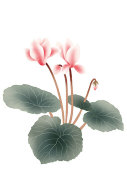 仙客來花朵國(guó)潮國(guó)風(fēng)水彩插畫