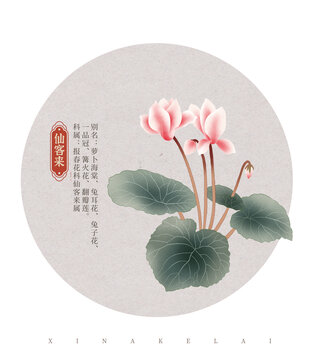 仙客來花朵國(guó)潮國(guó)風(fēng)水彩插畫