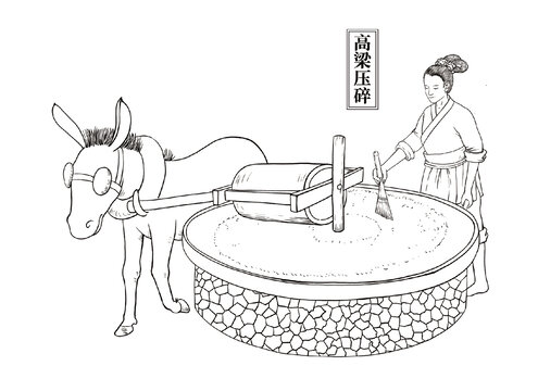 釀酒高梁壓碎