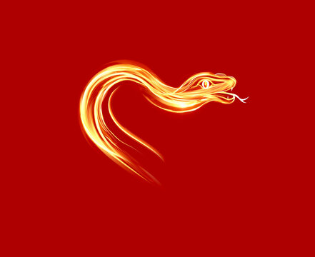 2025靈動(dòng)蛇