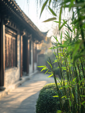 竹子與古建