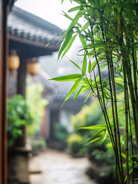 竹子與古建