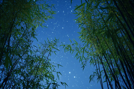 月夜竹林背景