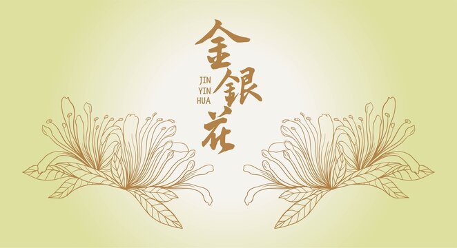 金銀花