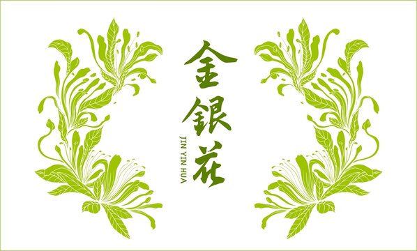 金銀花包裝插畫