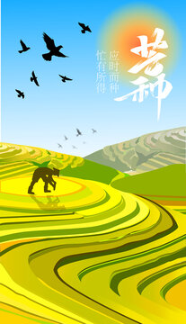 芒種扁平插畫