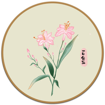 百合花