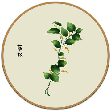 蓽撥