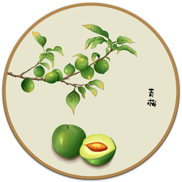 青梅