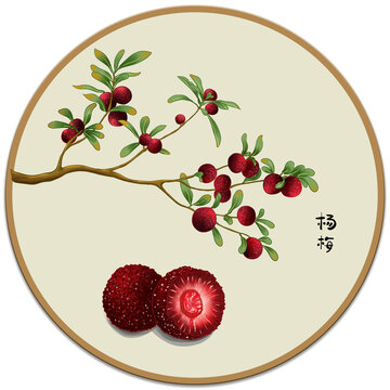 楊梅