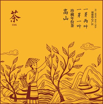 茶葉包裝插畫