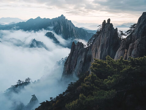 云海風(fēng)光奇松怪石