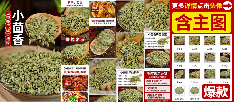 小茴香詳情
