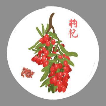 枸杞