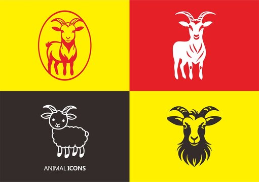 小綿羊